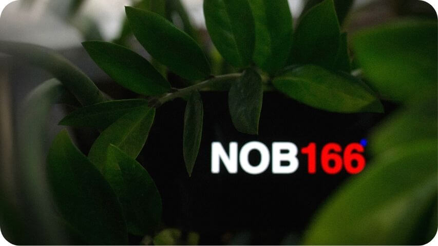 nob166 sustainability