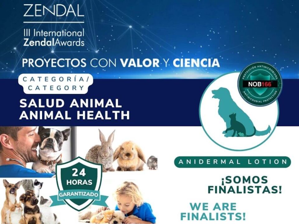 international zendal awards nob166 finalistas